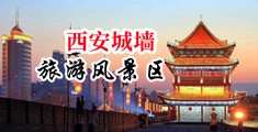 欧美A黄免费看中国陕西-西安城墙旅游风景区